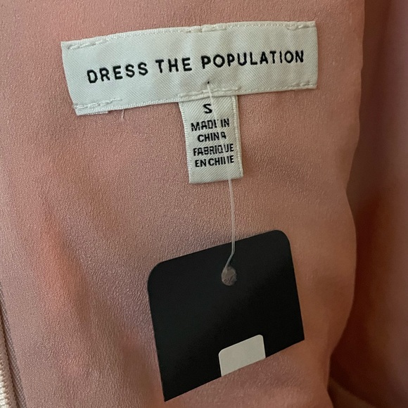 Dress The Population Women's Nellie Floral Embroidered Fit & Flare Dress Mauve - Picture 5 of 16